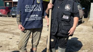 alluvione-marche-guardie-oipa-ancona-2