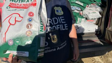 alluvione-marche-guardie-oipa-ancona-20