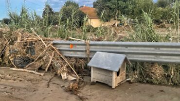alluvione-marche-guardie-oipa-ancona-21