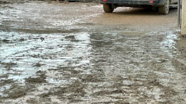 alluvione-marche-guardie-oipa-ancona-24
