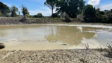 alluvione-marche-guardie-oipa-ancona-29