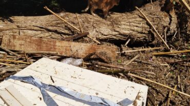 alluvione-marche-guardie-oipa-ancona-8