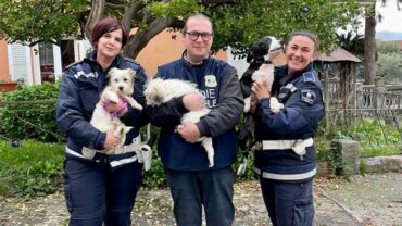 la-spezia-sequestro-tre-cagnolini