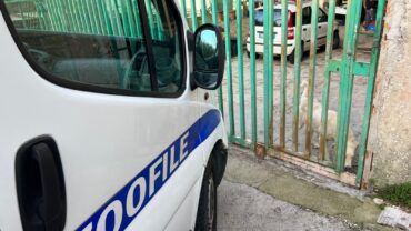 napoli-gez-controlli-13