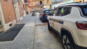 milano-gez-sequestro-cuccioli-amstaff-venduti-online-2