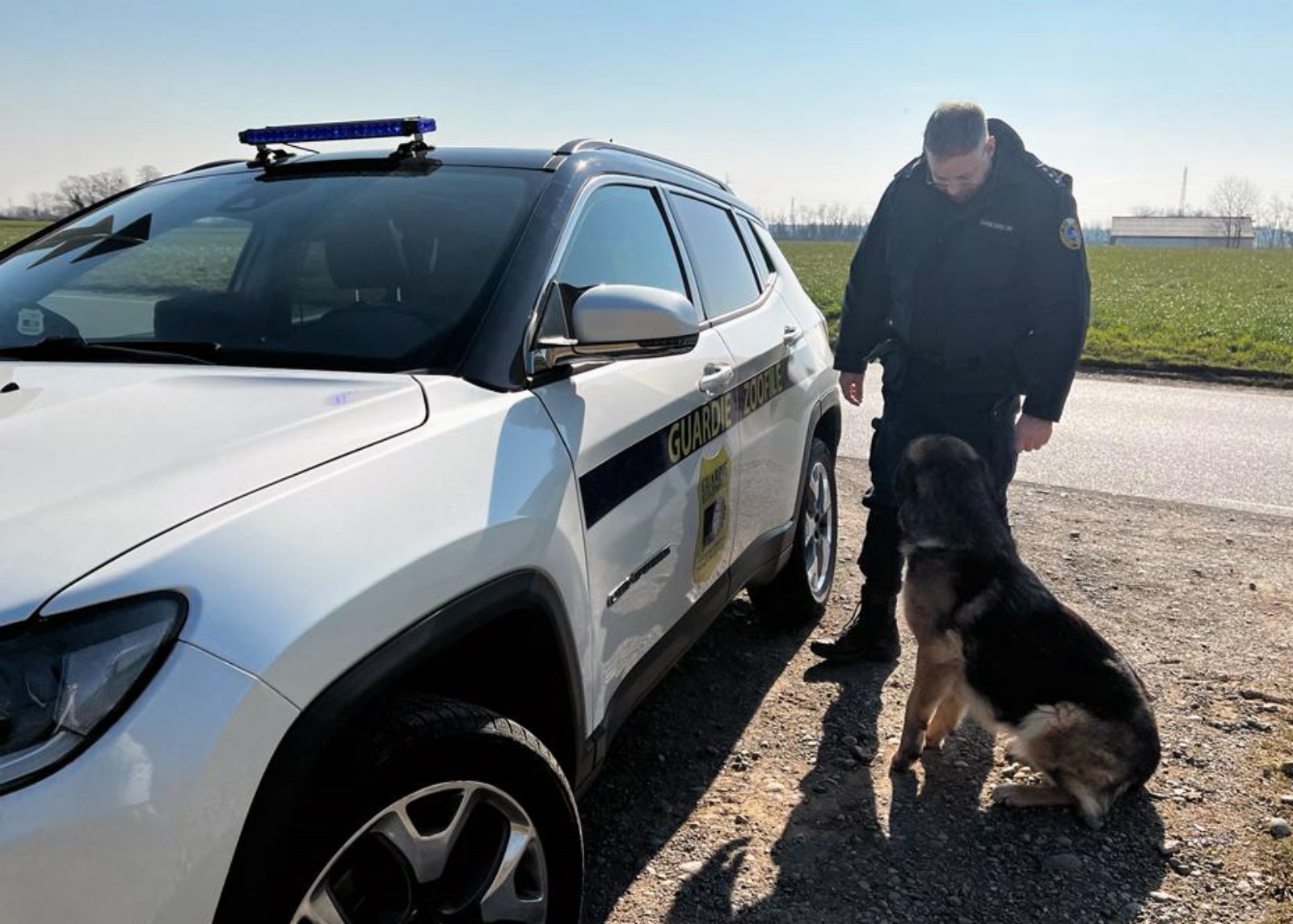 LE GUARDIE OIPA SALVANO UN CANE VAGANTE NELLE CAMPAGNE MILANESI