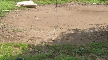 varese-gez-sequestro-cane-2