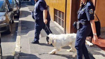 sequestro-zeus-cane-sul-balcone-4