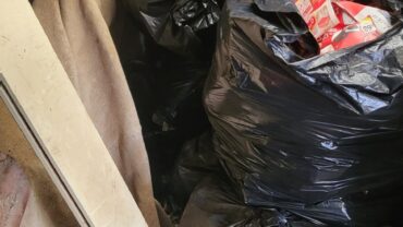 alessandria-gez-sequestro-cavalli-e-asini-5