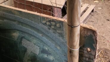 alessandria-gez-sequestro-cavalli-e-asini-6