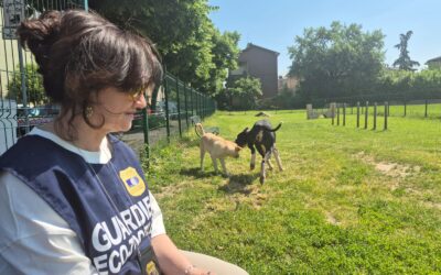 Galateo per cani e proprietari