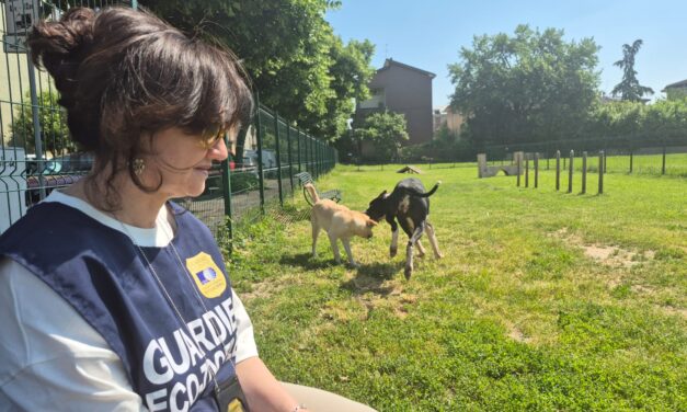 Galateo per cani e proprietari